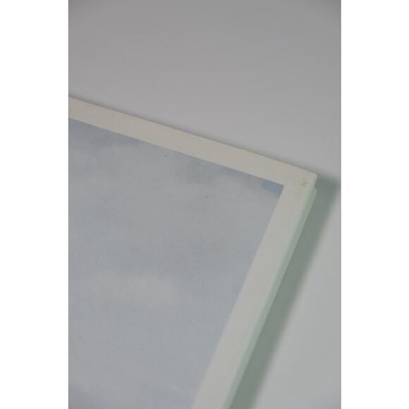 Alec Soth, Dog Days Bogota Hardcover Book RARE Minnesota Photographer - Picture 6 of 15